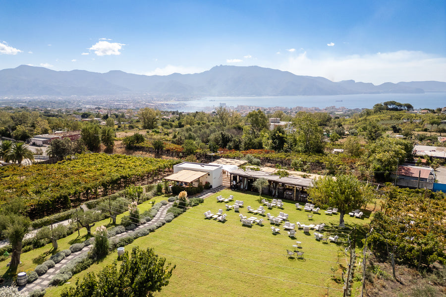 Wine tasting and lunch at Quirinoli