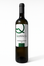 Falanghina