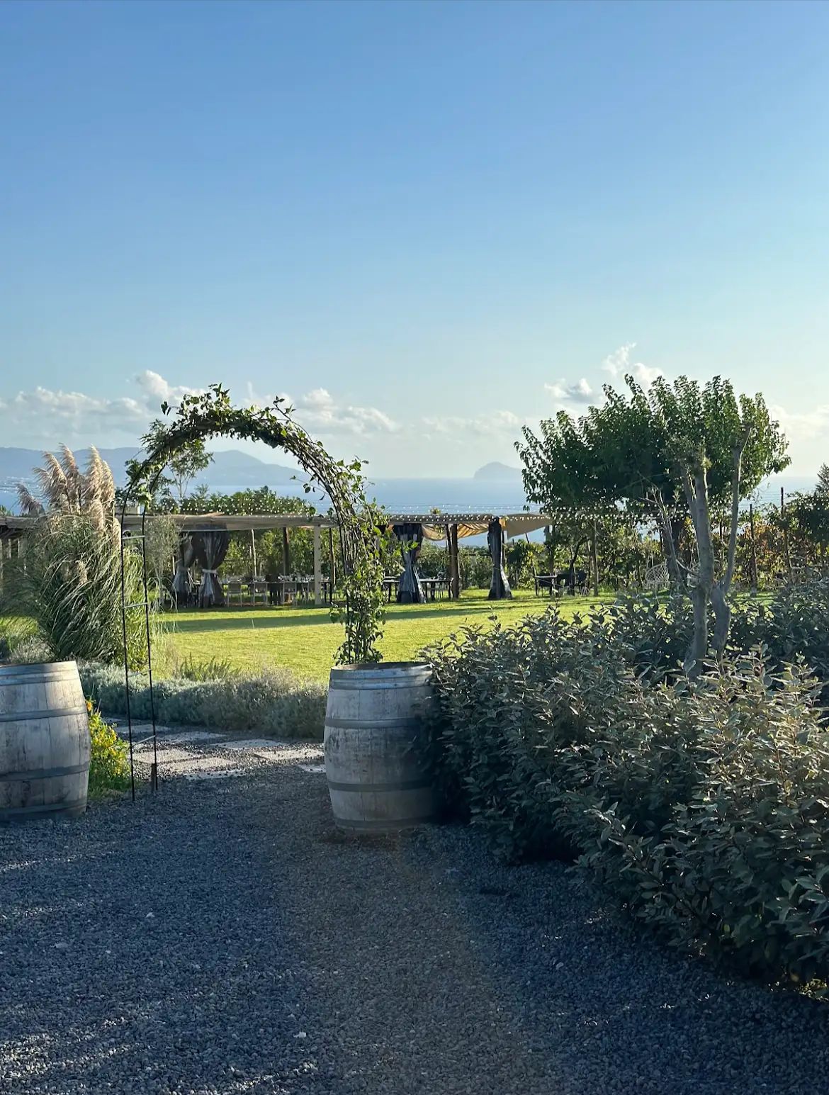 Elegant vineyard lunch table setup for an authentic 5-star tasting journey on Mt. Vesuvius