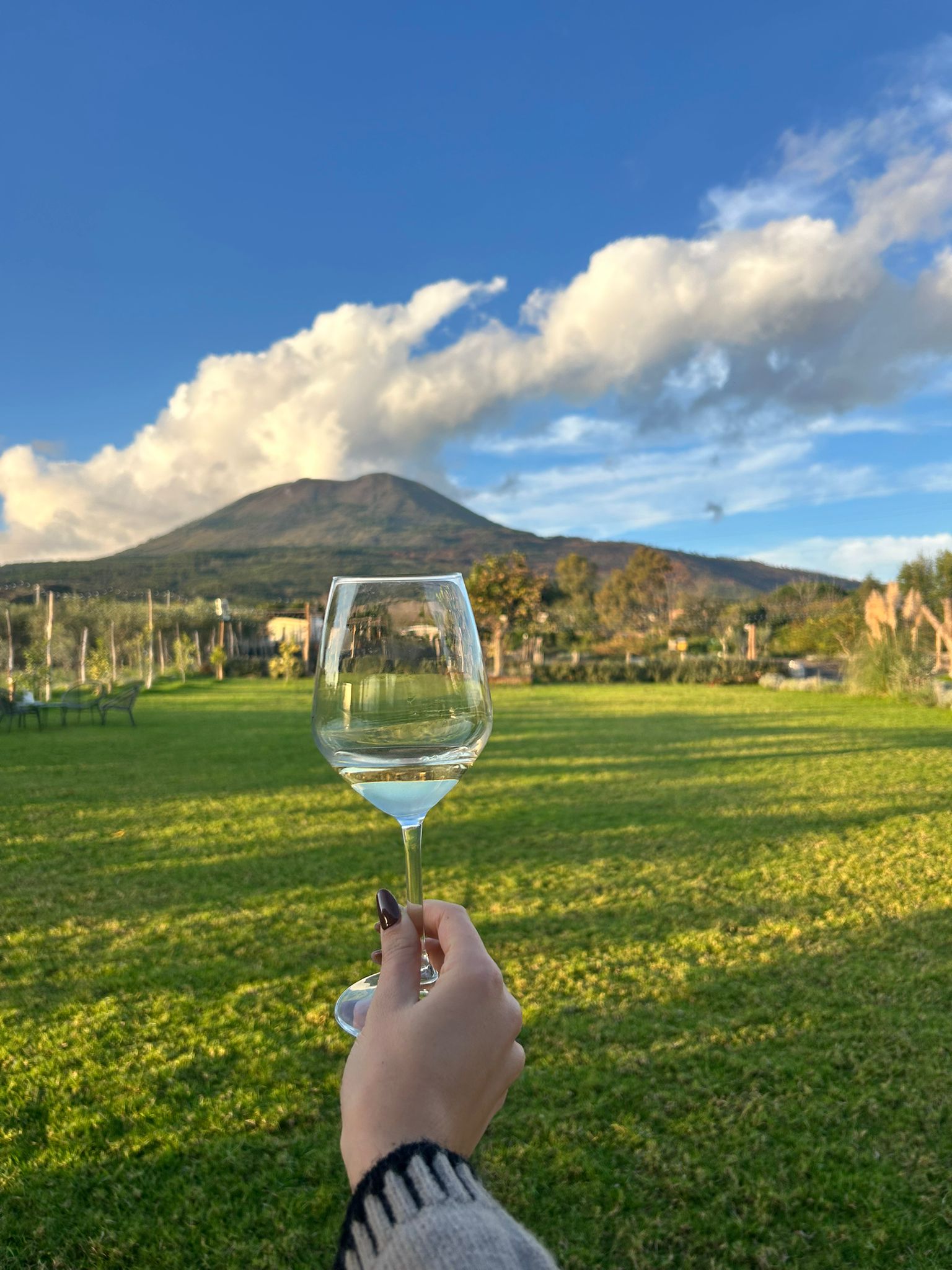 Quirinoli Winery free shuttle service for wine tasting guests from Pompeii ruins