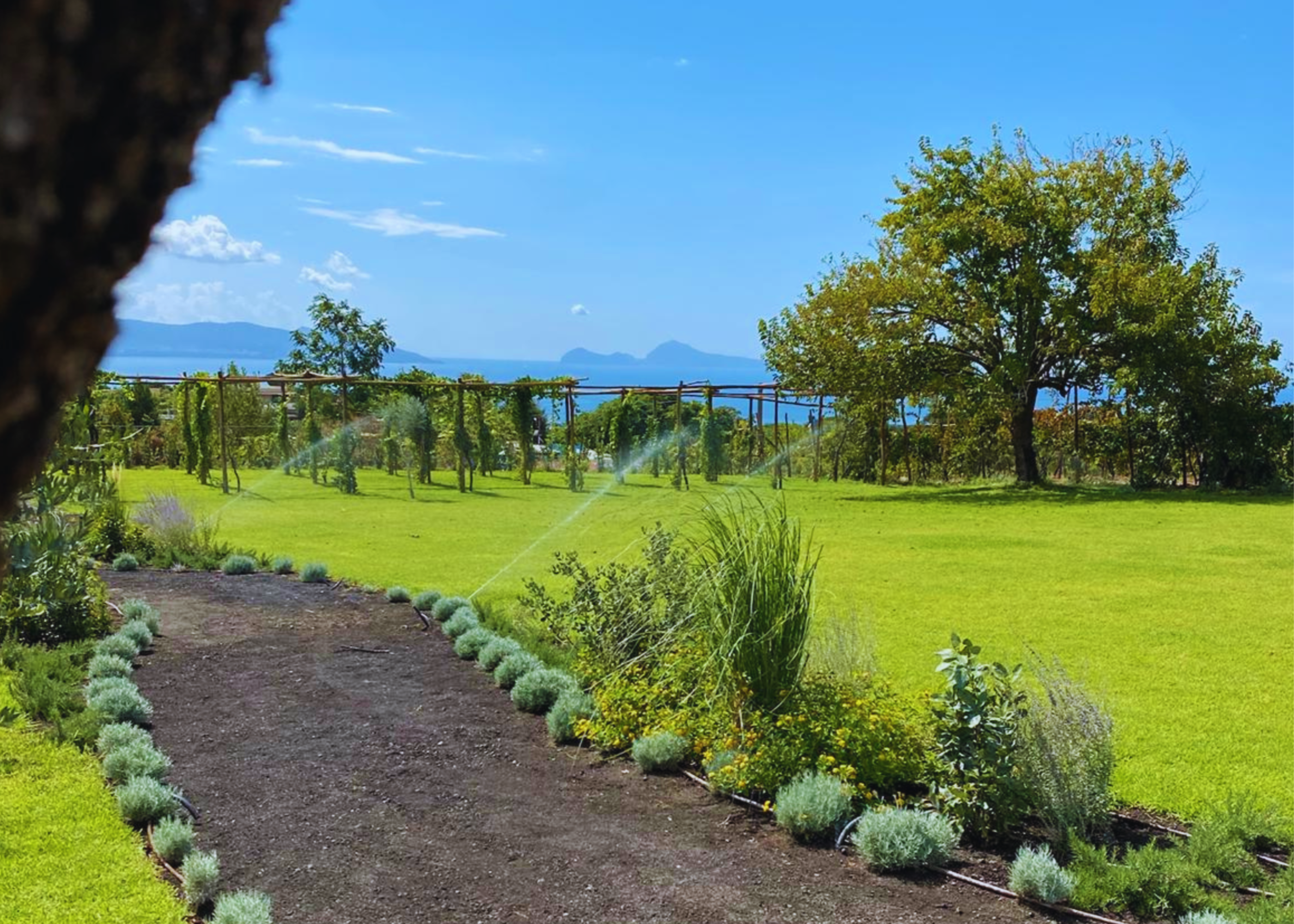 Quirinoli Winery organic vineyards with a panoramic view of Mount Vesuvius near Pompeii