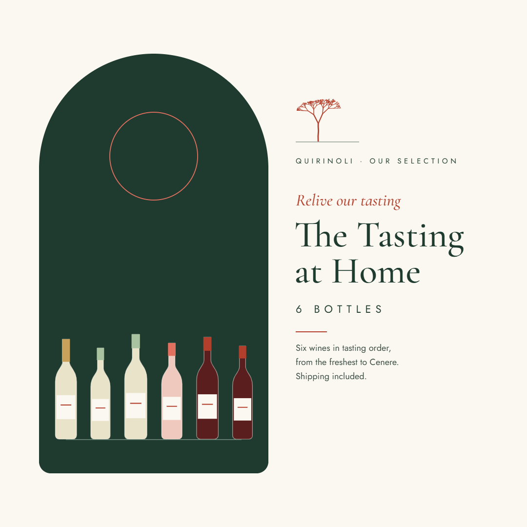 Quirinoli The Tasting at Home, 6 bottles